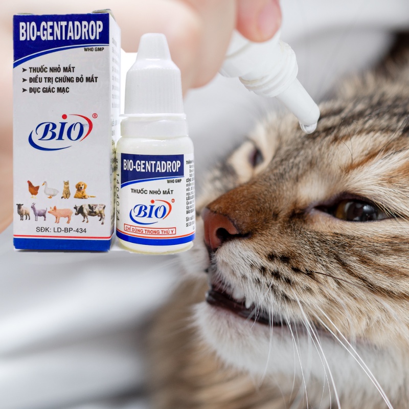 Nhỏ mắt Chó Mèo Bio GentaDrop - Trị đau mắt đục giác mạc viêm đỏ ngứa vệ sinh mắt thú cưng