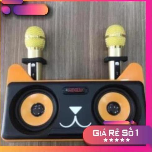 [SALE 10%] Loa karaoke bluetooth SDRD SD-305 20W có bluetooth tặng kèm mic