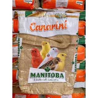 Hạt trộn Ý dành cho Yến hót gói chiết lẻ 1kg