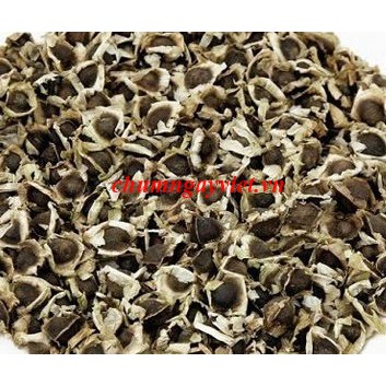 Hạt Giống Chùm Ngây (Moringa seed) 100gr
