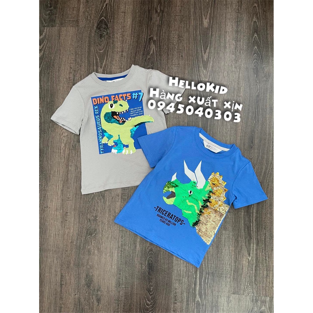 A176 - Áo thun sequin KHUNG LONG