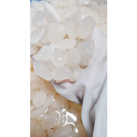 1kg hạt đác size trung - HỎA TỐC