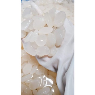 1kg hạt đác size trung - HỎA TỐC
