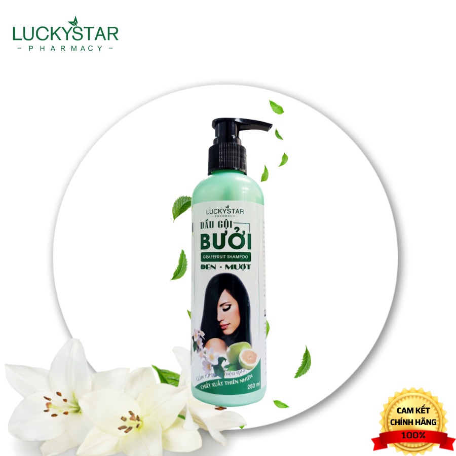 COMBO Dầu Gội Và Kem Xả Bưởi Lucky Star 250ml/500ml