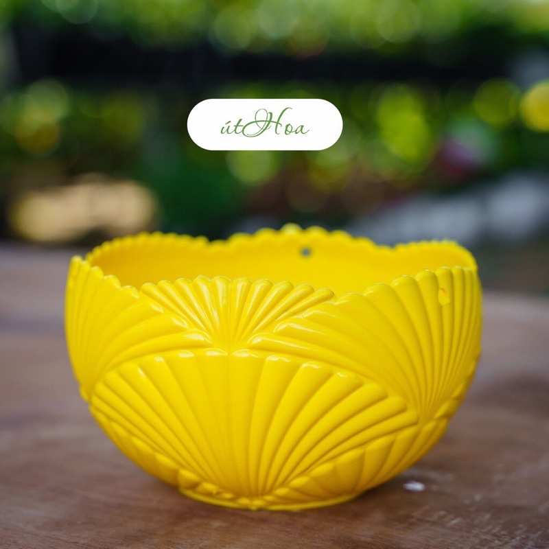 Chậu treo Sò cao cấp đủ size dùng trồng hoa trang trí nhà cửa, sân vườn