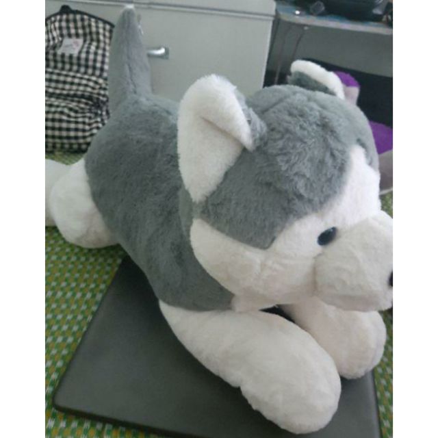 Gấu Bông Chú Chó Husky 35cm - 55cm