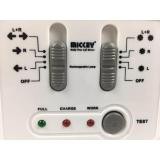 Đèn sạc chiếu sáng khẩn cấp Mickey TD-268B - Điện Việt