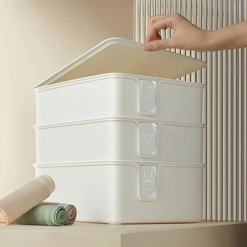 Hộp đựng đồ lót nhiều ngăn tiện lợi đa năng