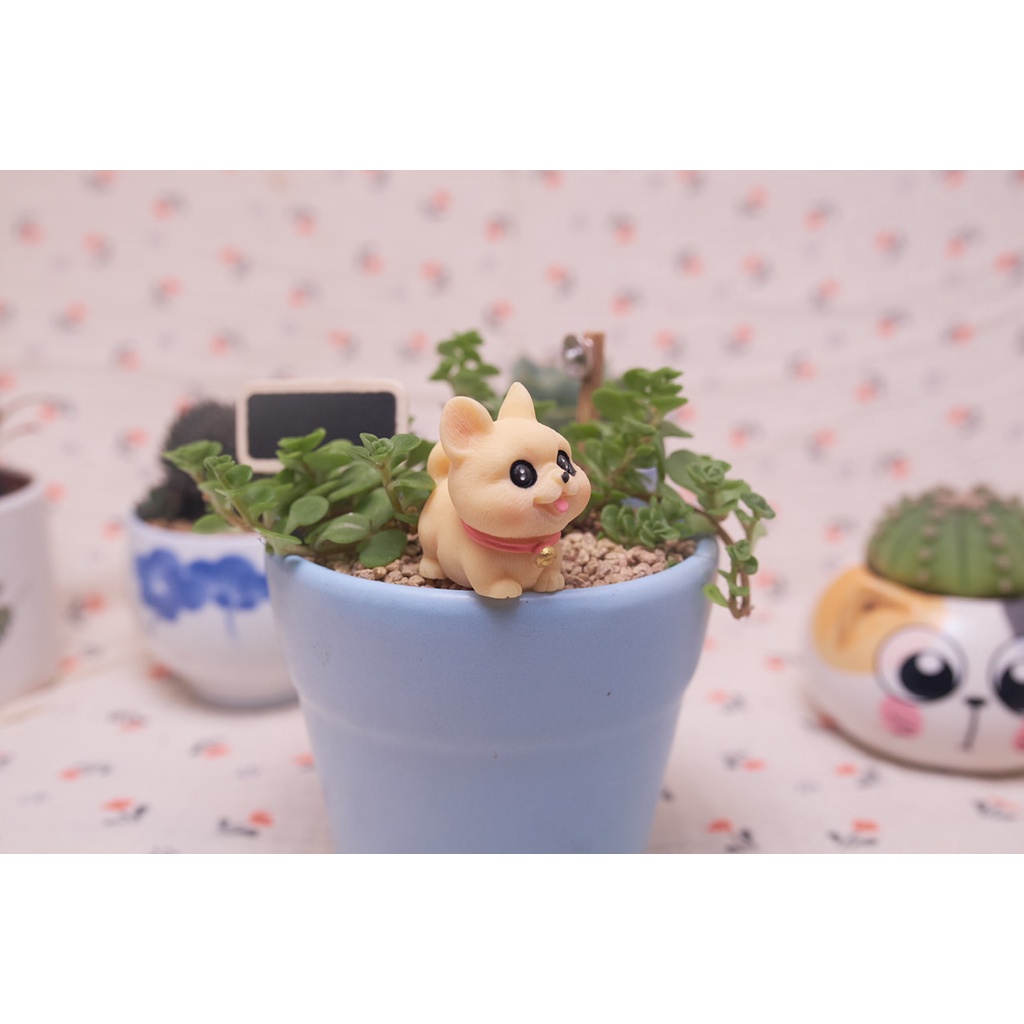 Phu kiện Chú Chó Shiba mắt to