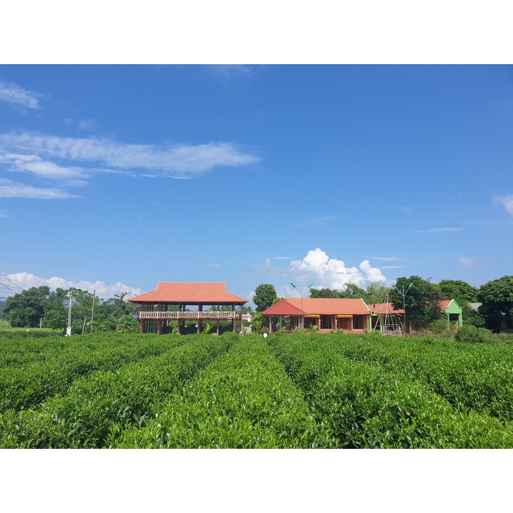 Hộp Chè Tôm Nõn 200gram Hảo Đạt - Hợp Tác Xã Chè Hảo Đạt - Chè Tân Cương Thái Nguyên