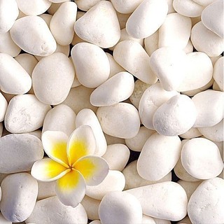 (SÂN VƯỜN) (chọn cỡ) 5 kg sỏi trắng trang trí, đá trắng đẹp