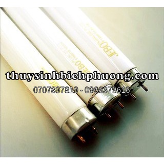 BÓNG ĐÈN JEBO T8 10000K ( ÁNH SÁNG TRẮNG ) CHO HỒ CÁ THỦY SINH