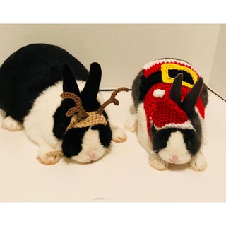 SET LEN NOEL CHO HAMSTER, CHUỘT, BỌ Ú...