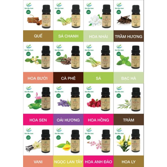 TINH DẦU THIÊN NHIÊN LỌ 10ML CÔNG TY CP UD CNM TINH DẦU XANH