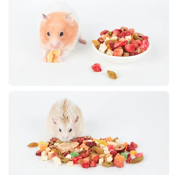 Jonsanty Hoa quả, trái cây sấy hỗn hợp cho Thỏ, bọ ú, hamster , sóc, chinchilla 50g,200g