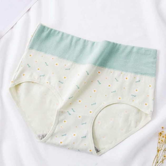 Quần Lót Nữ SAM SAM Chất Cotton Lưng Cao Size Đại 50-70kg Đáy Lót Kháng Khuẩn SAM SAM