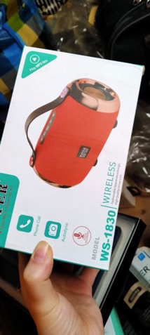 Loa Bluetooth cầm tay WS-1830