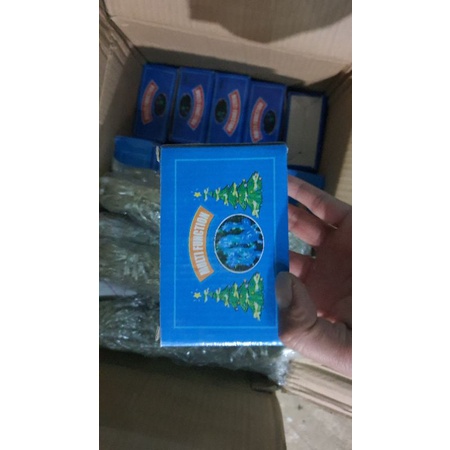 Đèn Led Nháy Tết 🎆 Trang Trí Cây Đào, Mai, Quất..Nhà Cửa Dài 10m