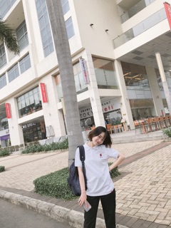 Cherry Basic
