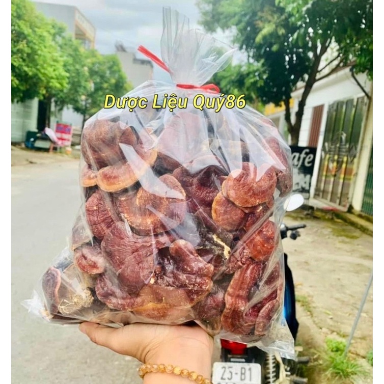 ⚡️SALE⚡️500g Nấm Lim xanh rừng Tây Bắc chuẩn rừng tự nhiên hỗ trợ bênh gout