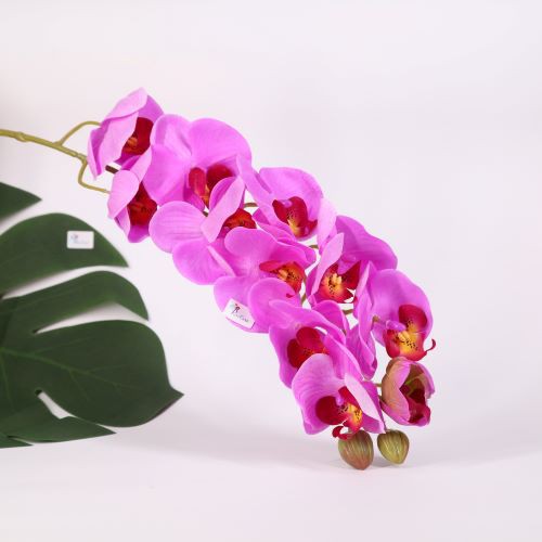 [ẢNH SHOP CHỤP] HOA PHONG LAN Orchid thân cành lớn trang trí nhà Tết hội nghị tiệc cưới