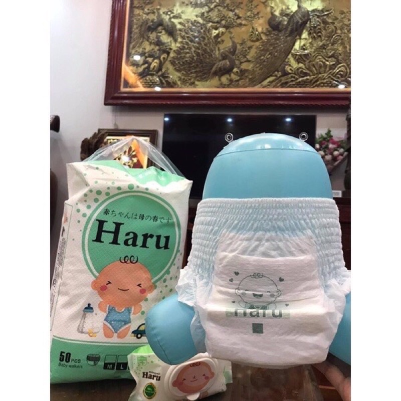 Tã/Bỉm quần/dán HARU size S/M/L/XL/XXL/XXXL/XXXXL