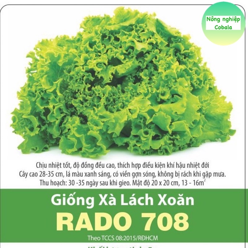 Hạt Giống Rau Xà Lách Xoăn Chịu Nhiệt Dễ Trồng 3gr