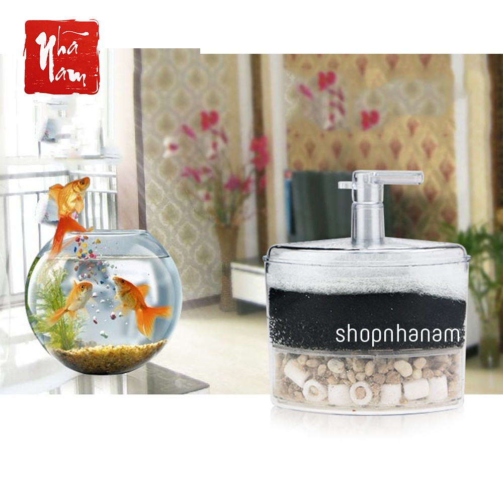 Lọc vi sinh bể cá dành cho thác nước tặng cây cảnh và cá nhiều màu