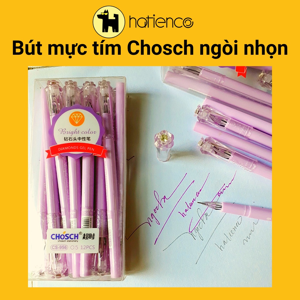 Bút mực tím/xanh ngòi nhọn viết siêu đẹp hiêu Chosch xịn