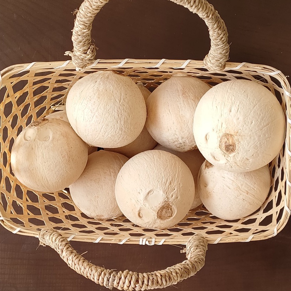 5 Trái Dừa Xiêm Gọt Trọc Tươi Bến Tre Wefarmer - Trái Cây |  Sieuthituoisong.Com