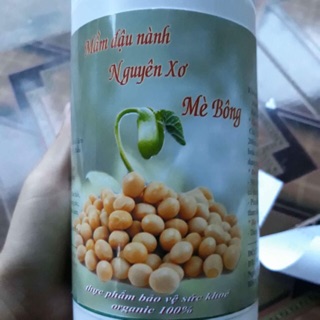 Mầm đậu nành nguyên xơ mẹ bông