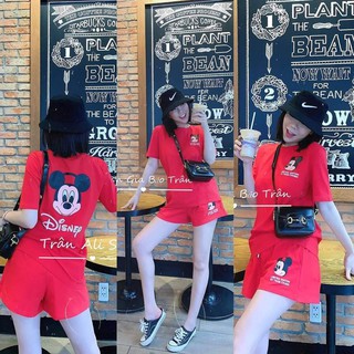 set mặc nhà đùi cotton cao cấp