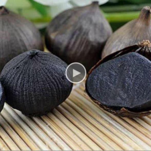 [Mã GRO2405 giảm 10% đơn 250K] 500g Tỏi đen 1 nhánh Phương Đông chuẩn ngon ngọt dẻo - Sức Khỏe Vàng | BigBuy360 - bigbuy360.vn