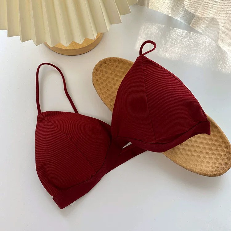 Áo bra nữ áo lót len tăm lưng nâng ngực dây nhỏ điệu đà freesize PASANA0077