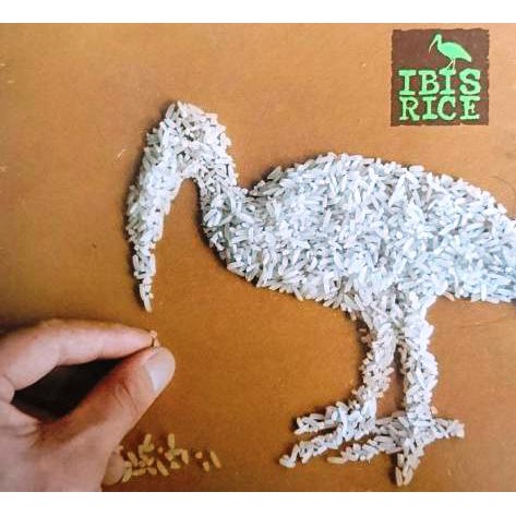 GẠO HƯƠNG NHÀI PHKAR ROMDOUL HỮU CƠ - HIỆU IBIS CAMPUCHIA - 5KG