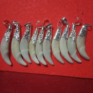 Mặc dây chuyền Nanh sói Châu Phi