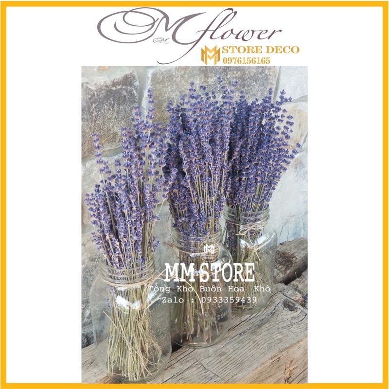 Hoa khô Lavender ❤️FREESHIP❤️ True Lavender hoa khô hàng chuẩn, tím than siêu đẹp
