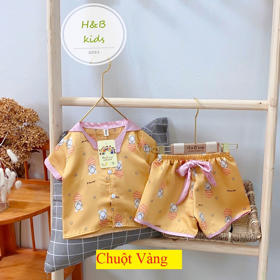 Bộ Mặc Nhà Cộc Tay  Cao Cấp Cho Bé - Pijama Lụa 3D Cao Cấp Cho Bé