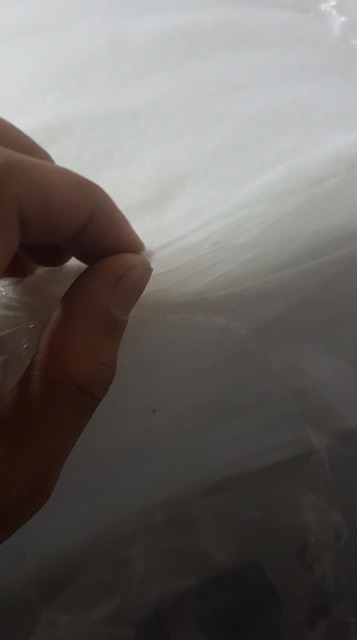 1m Bông ép (may khẩu trang , chần bông)