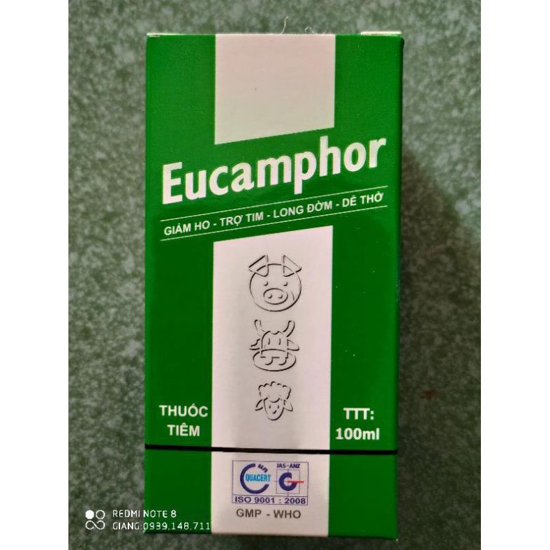 EUCAMPHOR 100ML SONG VÂN