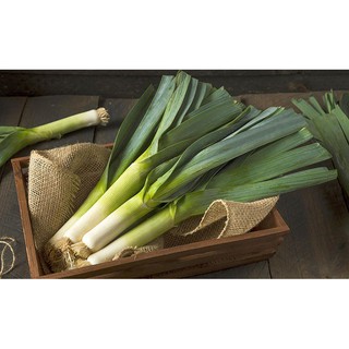 Hạt giống Tỏi tây ( hành baro)