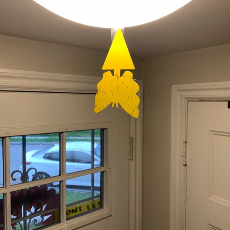 2/5/10Pcs Pack Double Sided Thicken Mosquito Viscosity Board / Home Balcony Garden Yellow Environmental Friendly Physical Plastic Lure Insect Sticky Plates