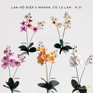 Lan hồ điệp 2 nhánh, có lá su _ cành hoa lan hồ điệp giả trang trí cao cấp