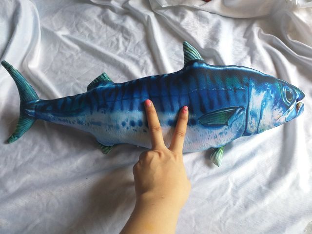 Gối Ôm Hình Cá Biển - Gối Ôm 3D Cá Ngừ Đại Dương làm đồ chơi cho bé yêu