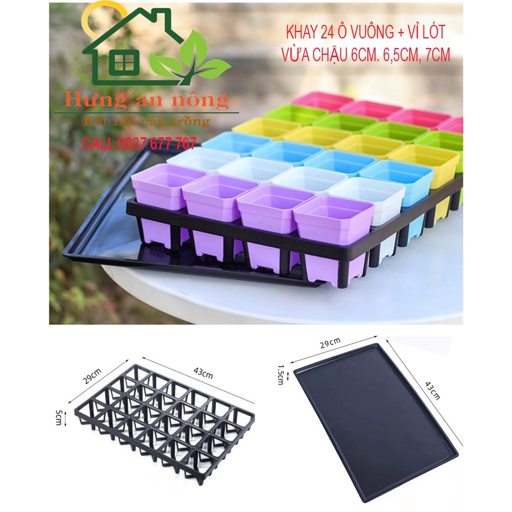 ĐB - khay chữ nhật 24 ô vuông, vỉ lót khay - dùng chứa chậu ươm trồng sen đá xương rồng cây cảnh giò lan.