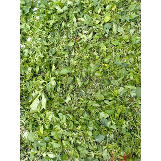 Lá mướp đắng rừng. 0,5kg