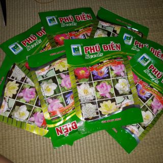 Hạt sen nước mini Nhật