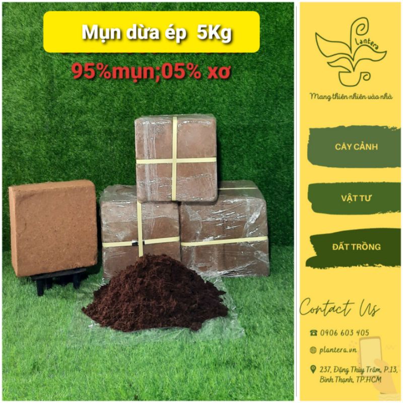Đất trồng cây, Đất nén Mụn Dừa Ép Bánh 5kg Giá Rẻ - Giá Thể Trồng Rau Mầm, Thủy Canh