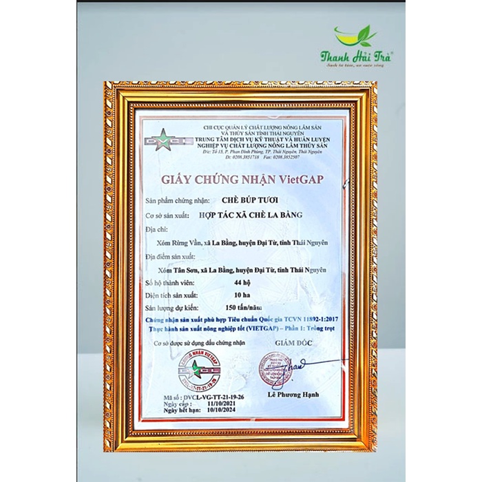 Lá Trà Xanh Sấy Khô Lá Chè Thái Nguyên Sấy Nguyên Lá 200g