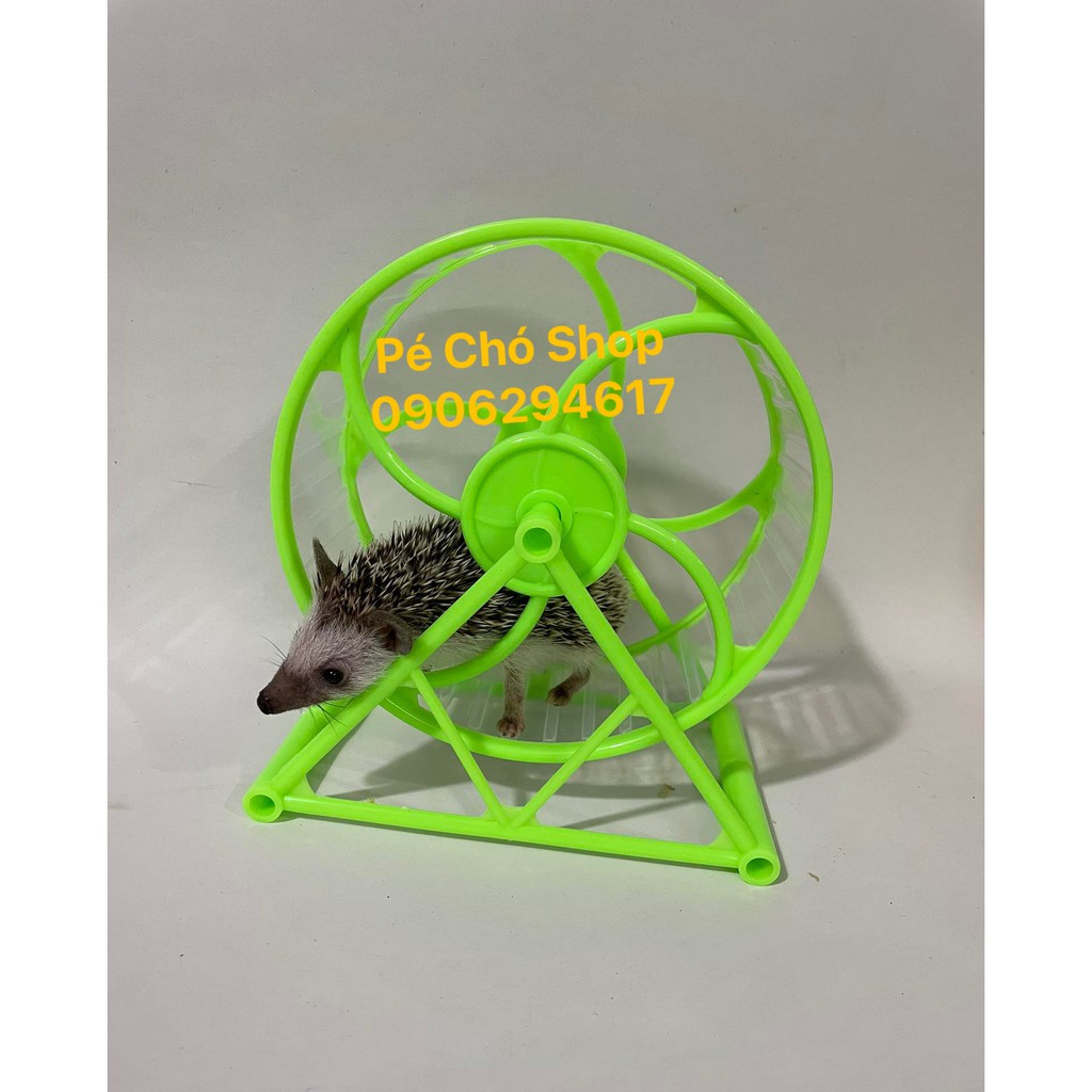 Whell nhựa TO size 16cm cho nhím baby hoặc Hamster bear .